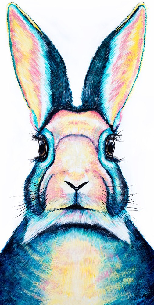 Alice in wonderland Rabbit Print