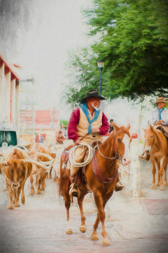 The Herd Cowhand on His Horse in the Stockyards