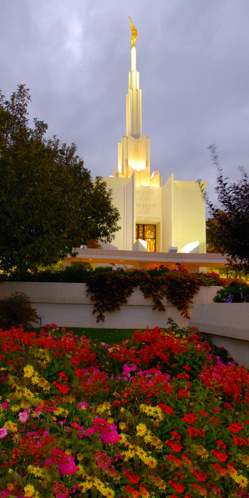 Denver Temple - Panoramic Red Flowers