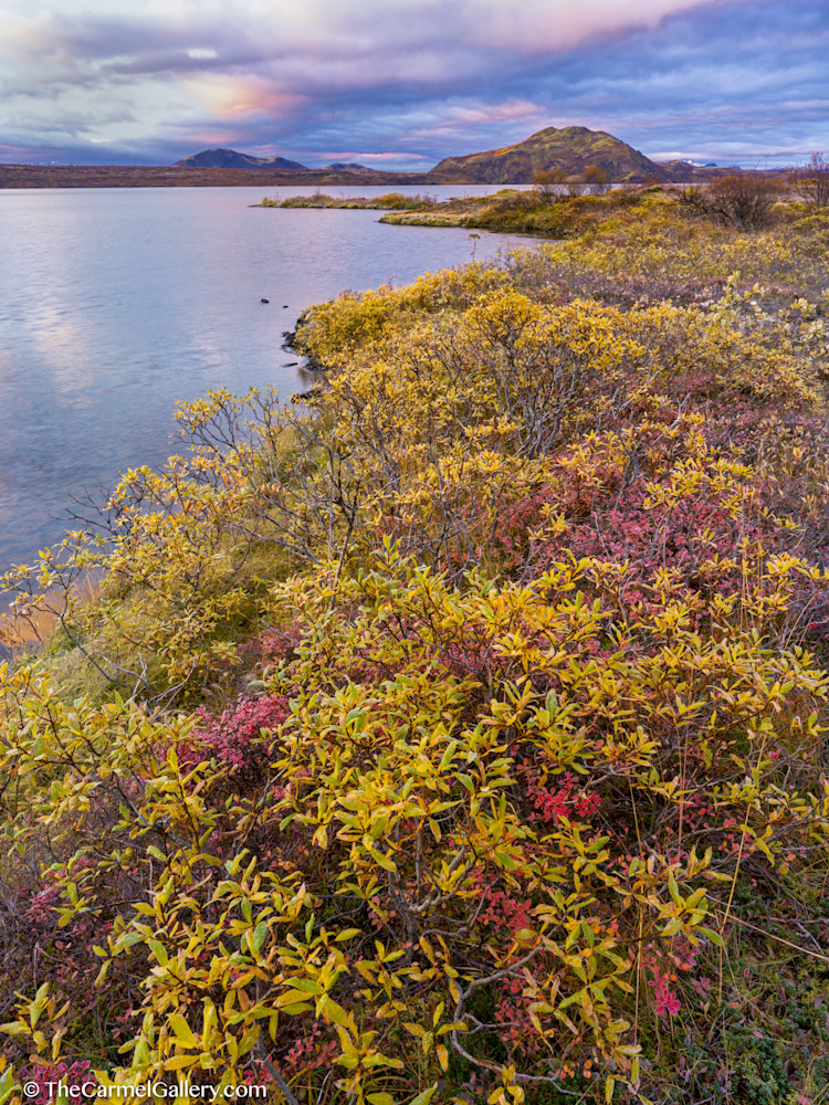 Iceland Sunrise Art | The Carmel Gallery