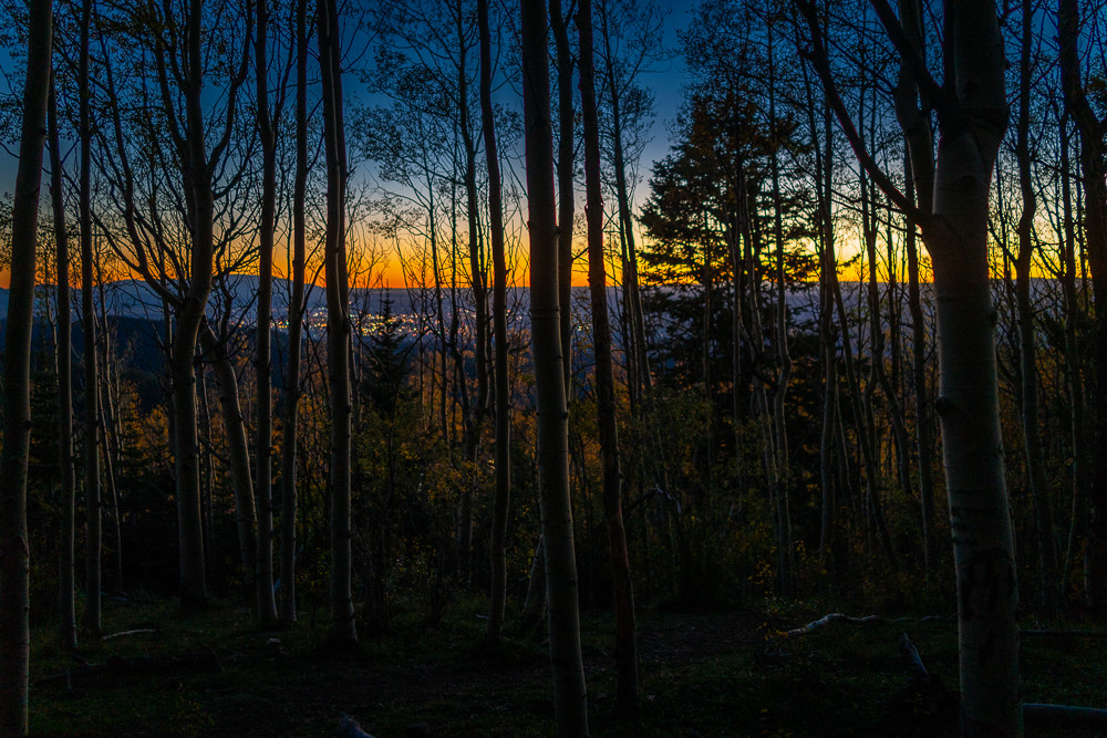 Aspens, Autumn, Landscape, New Mexico, Photography, Sangre de Christo mountains, Santa Fe, Southwest, forest Aspens, Autumn, Landscape, New Mexico, Photography, Sangre de Christo mountains, Santa Fe, Southwest, forest