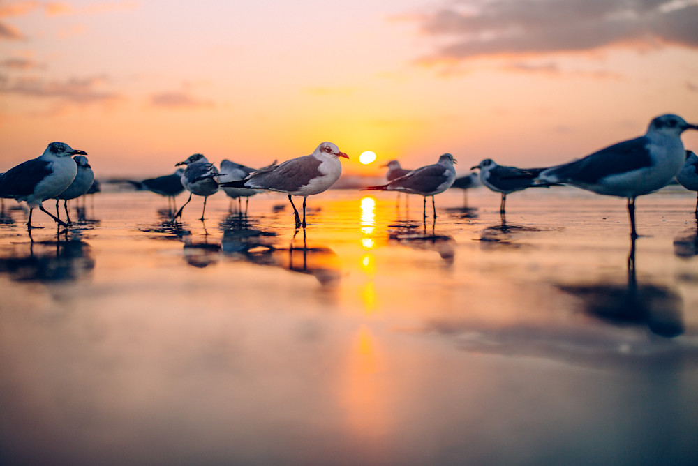 Dawning Divided | Kirby Trapolino Fine Art Photography Dawning Divided | Kirby Trapolino Fine Art Photography
