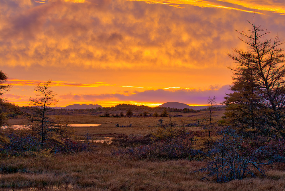 Sunset on the Bog - Burin Peninsula Sunset on the Bog - Burin Peninsula