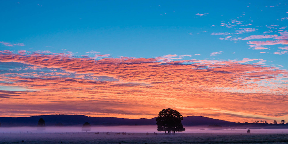 Woodville Treasure - Hunter Valley NSW Australia | Sunrise