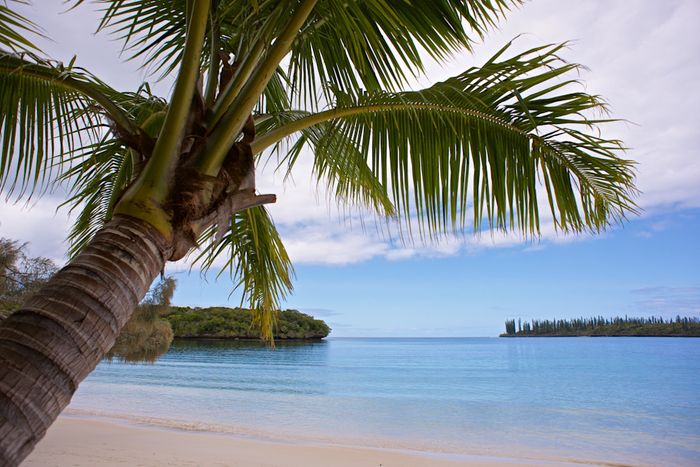 Island Dream - Isle Of Pines New Caledonia South Pacific