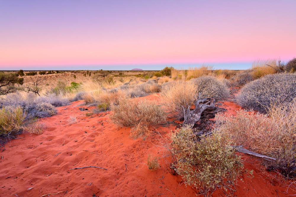 Heart Of The Land - Uluru Kata Tjuta National Park NT Australia | Sunset