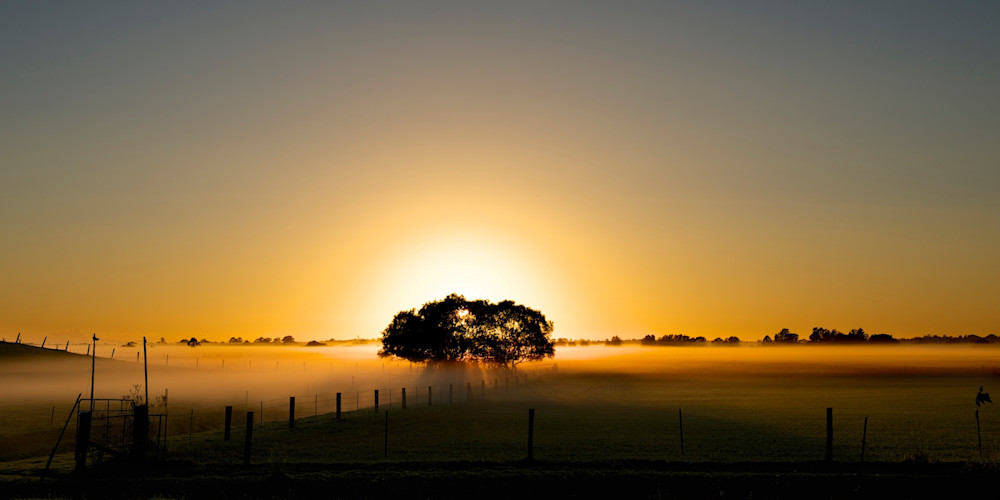 Bolwarra Golden Morning - Maitland Hunter Valley NSW Australia | Sunrise