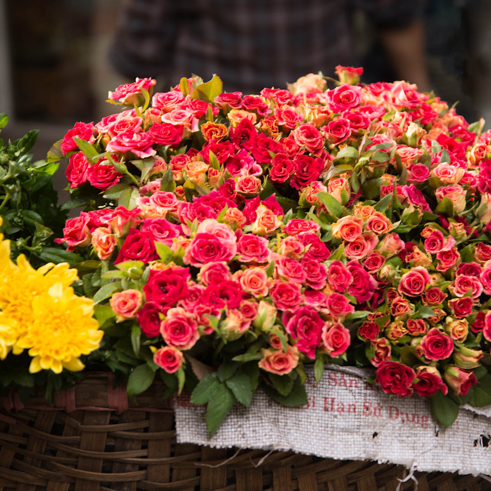 Blooming Beautiful - Hanoi Vietnam | Flora Blooming Beautiful - Hanoi Vietnam | Flora