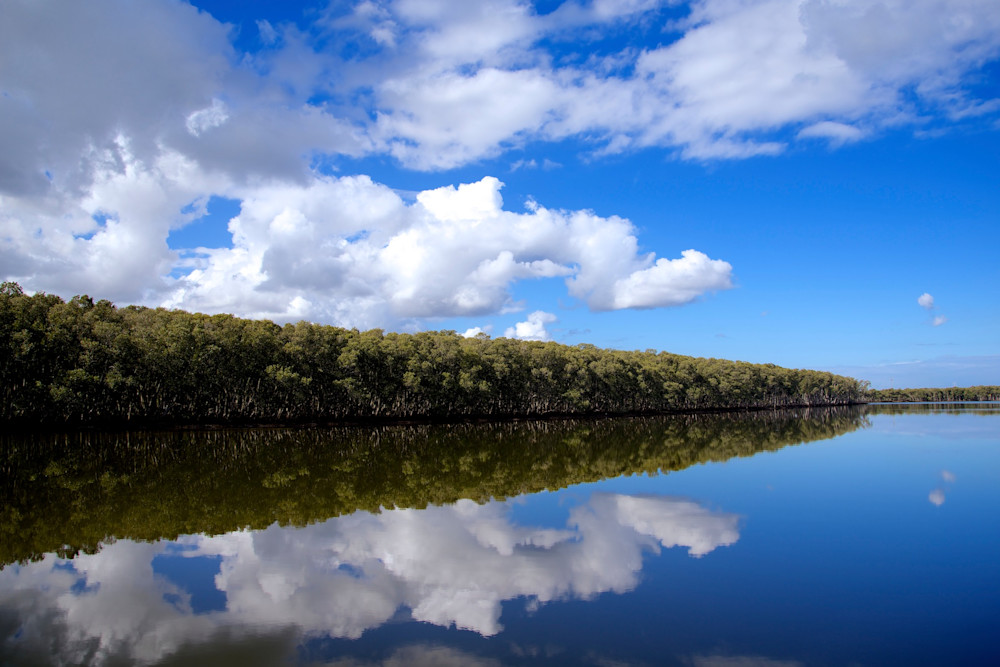Ash Island Newcastle NSW Australia Reflection