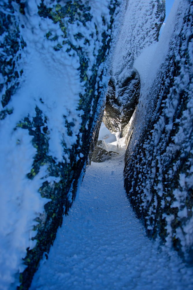 Alpine Oculus - Kosciuszko National Park Australia | Snow Alpine Oculus - Kosciuszko National Park Australia | Snow