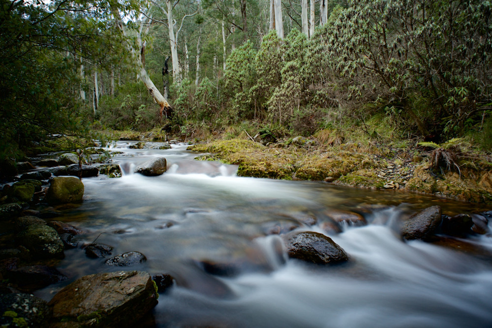 Alpine Flow - Leatherbarrel Creek Khancoban Kosciuszko National Park NSW Australia | Waterfall