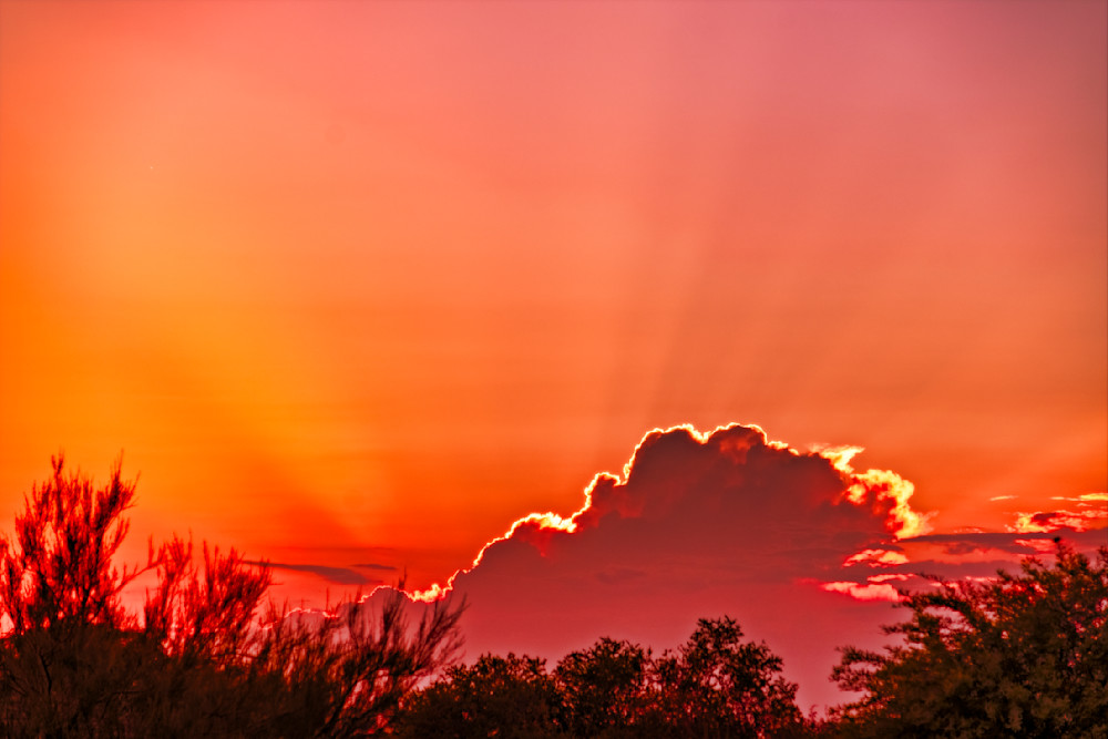 Sun Rays Photography Art | frednewmanphotography