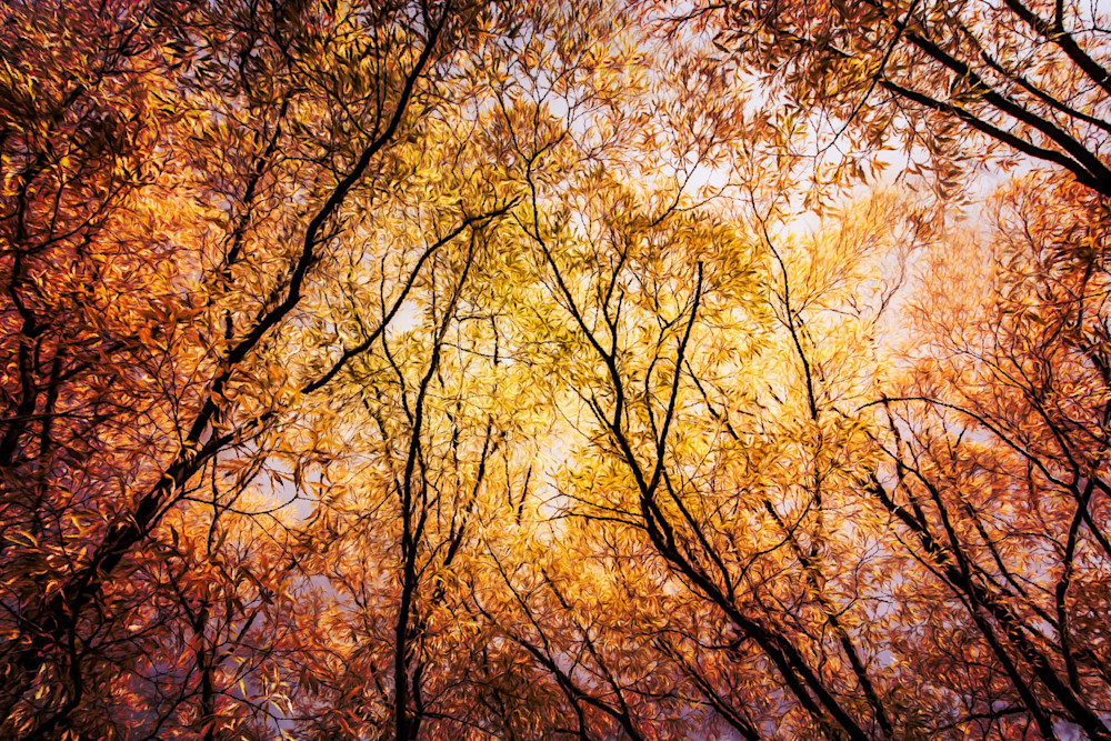 Autumn In Arrowtown - Queenstown Lakes District South Island New Zealand | Samantha Taylor Autumn In Arrowtown - Queenstown Lakes District South Island New Zealand | Samantha Taylor