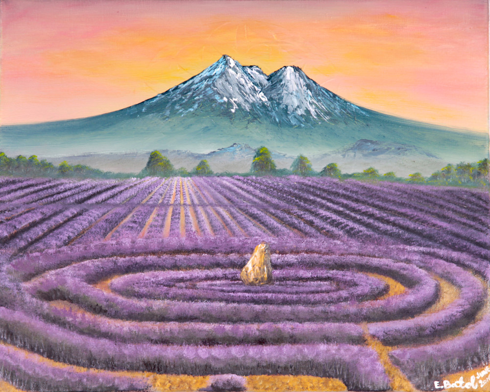 Mt Shasta Lavender farm: Shop Print / Errymil Batol Art