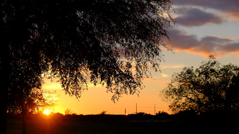Beautiful Texas Sunset Behind Tree