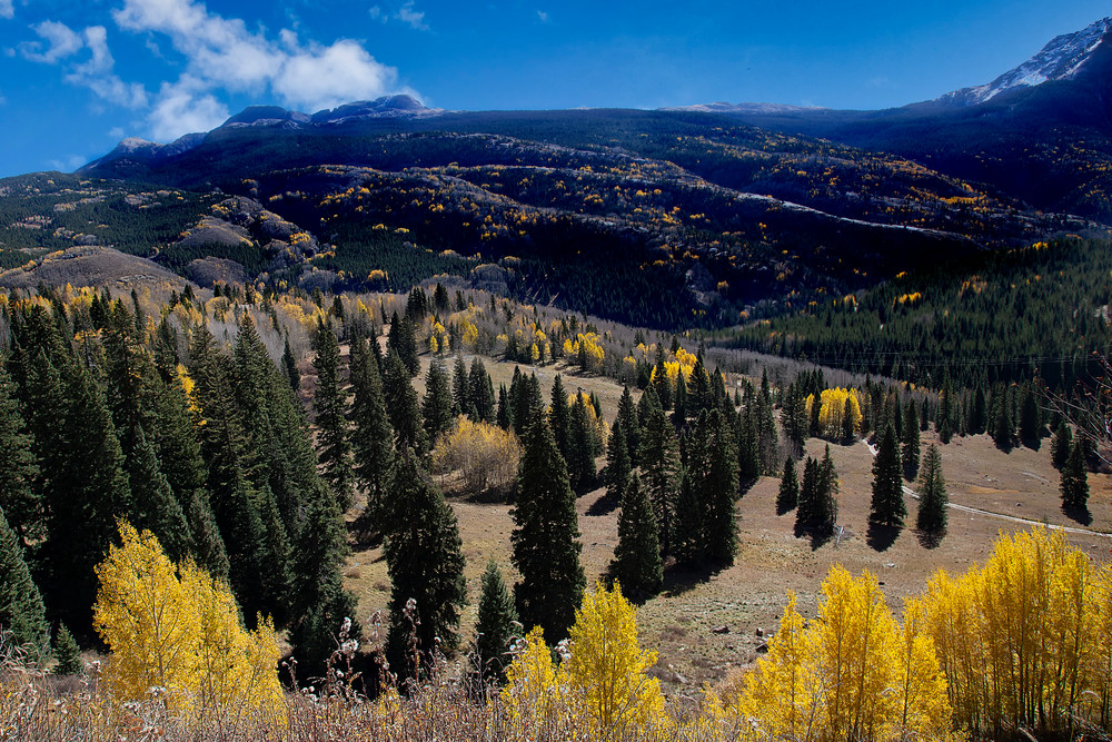 Colorado Touch Of Gold Photography Art | Dale Yakaites Photography