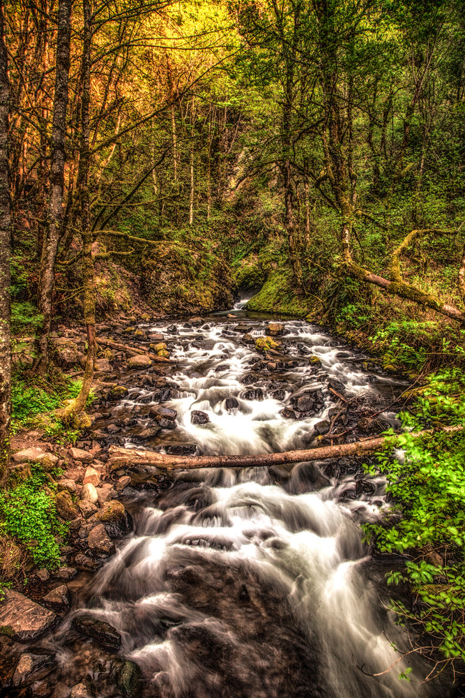 Creek Below Bridal Veil Falls Photography Art | Dale Yakaites Photography