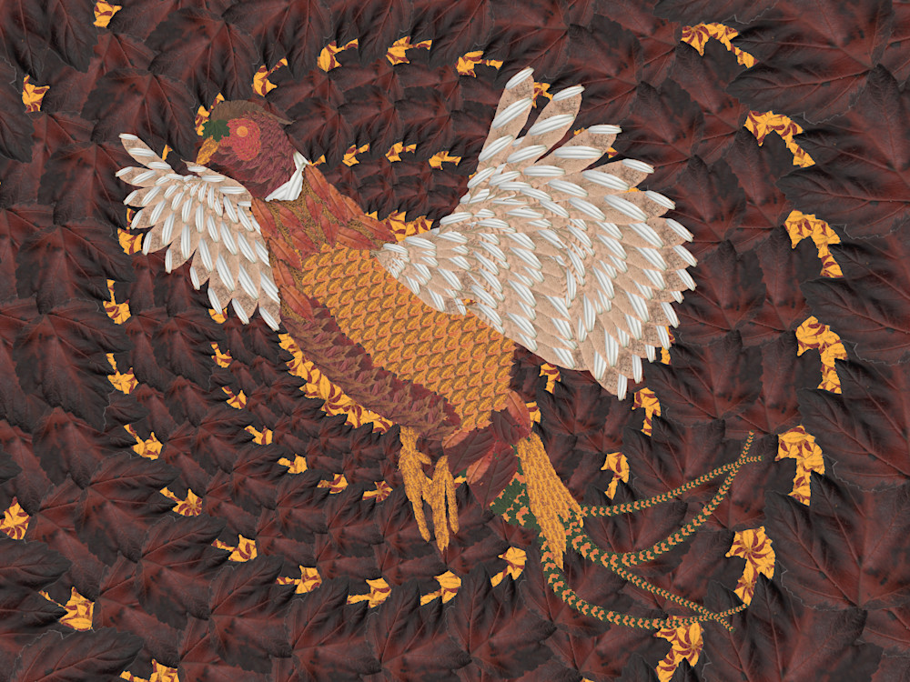Pheasant Art | smacartist