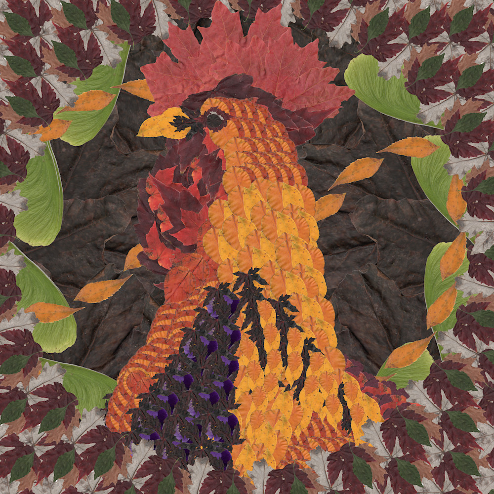 Rooster Art | smacartist