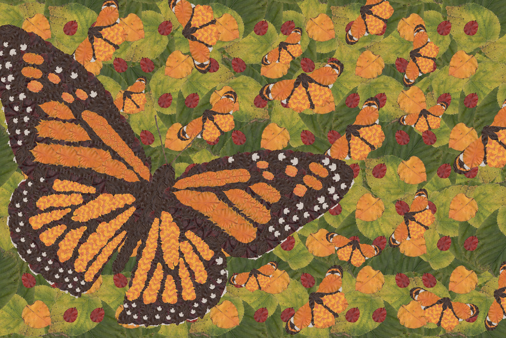Monarch Art | smacartist