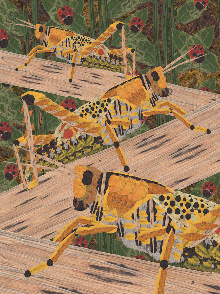 Grasshoppers Art | smacartist