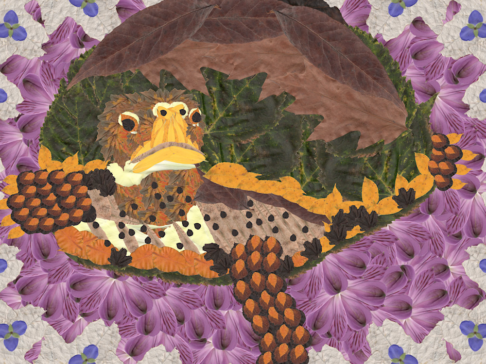 Turtle Art | smacartist