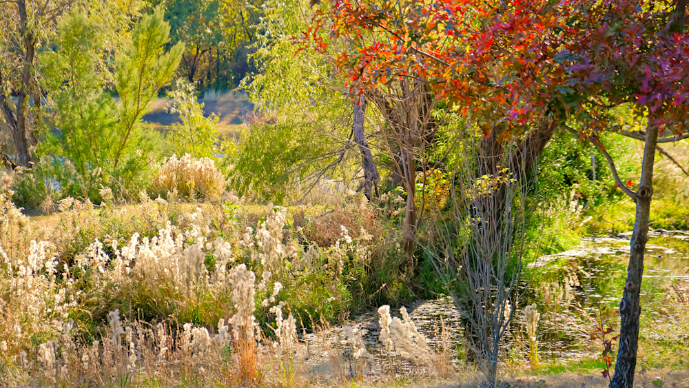 Texas Pond in Autumn