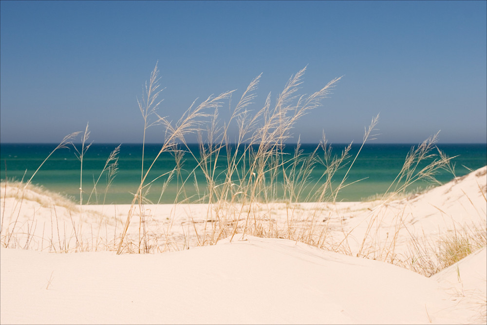 Dune Grass and Lake Michigan