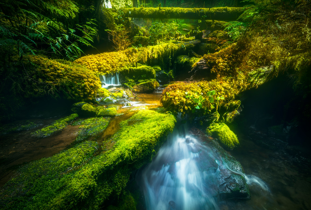 Panther Creek Grotto Photography Art | Derrick Snider Imagery