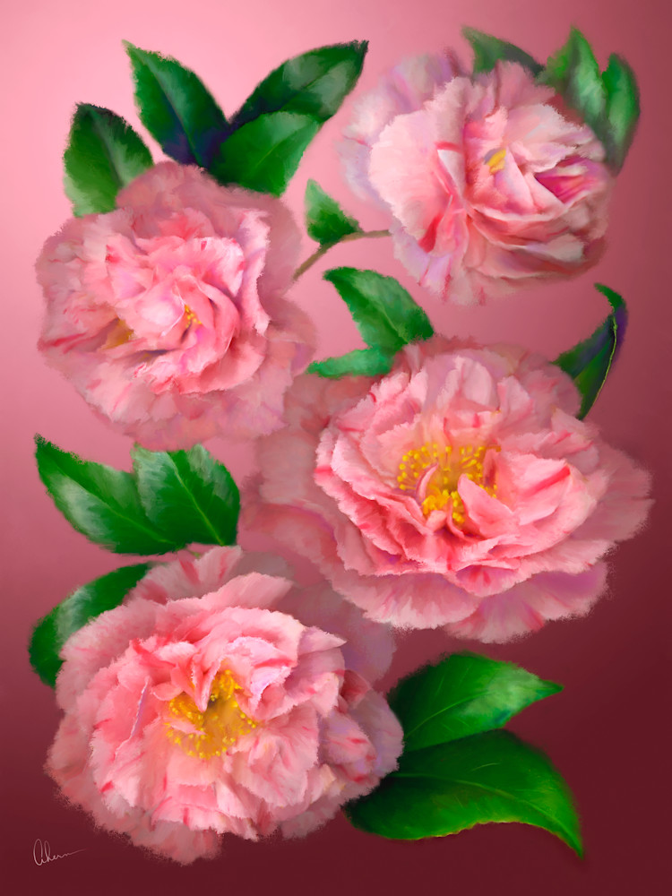 Pink Camellias metal wall art.  Aluminum Prints by the artist, Mary Ahern.