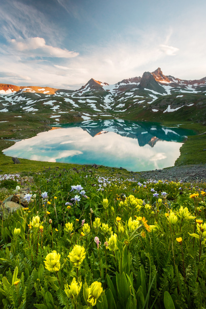 san juan wildflowers