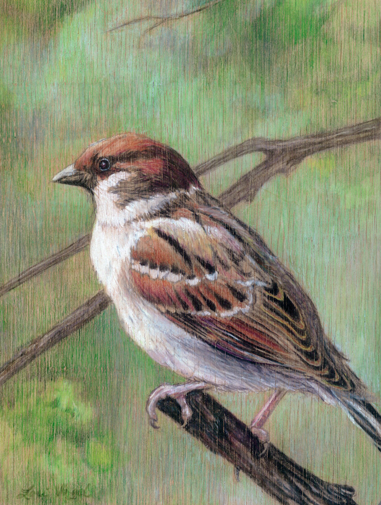 Sparrow Art | Lori Vogel Studio