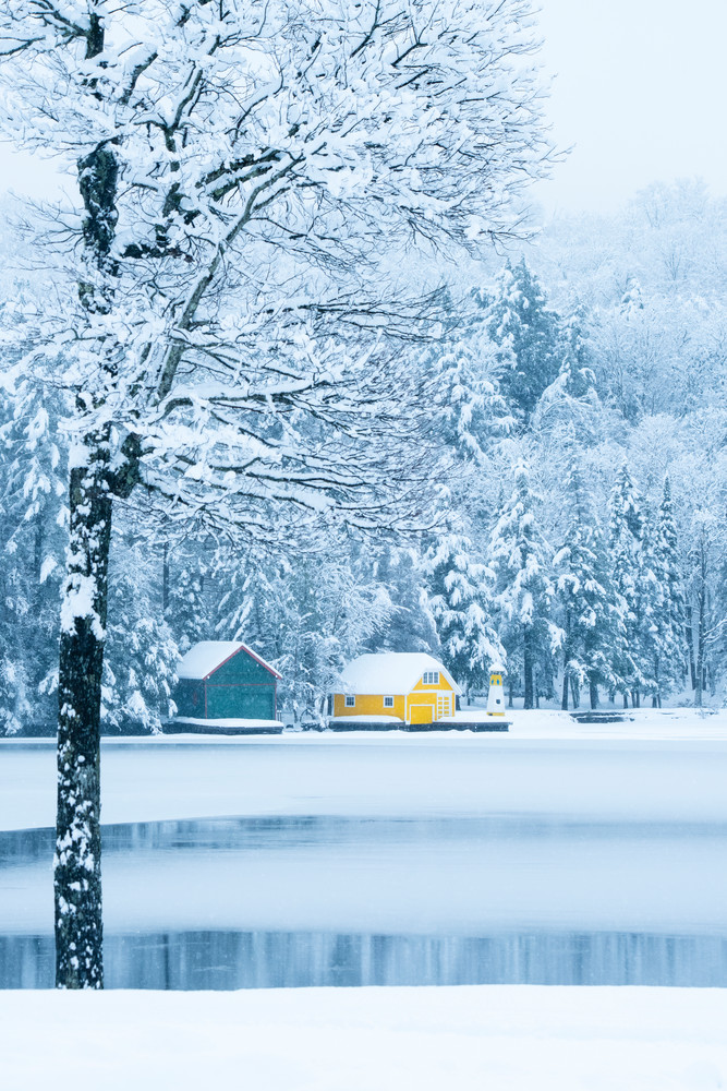 Old forge, Pond, Winter, 