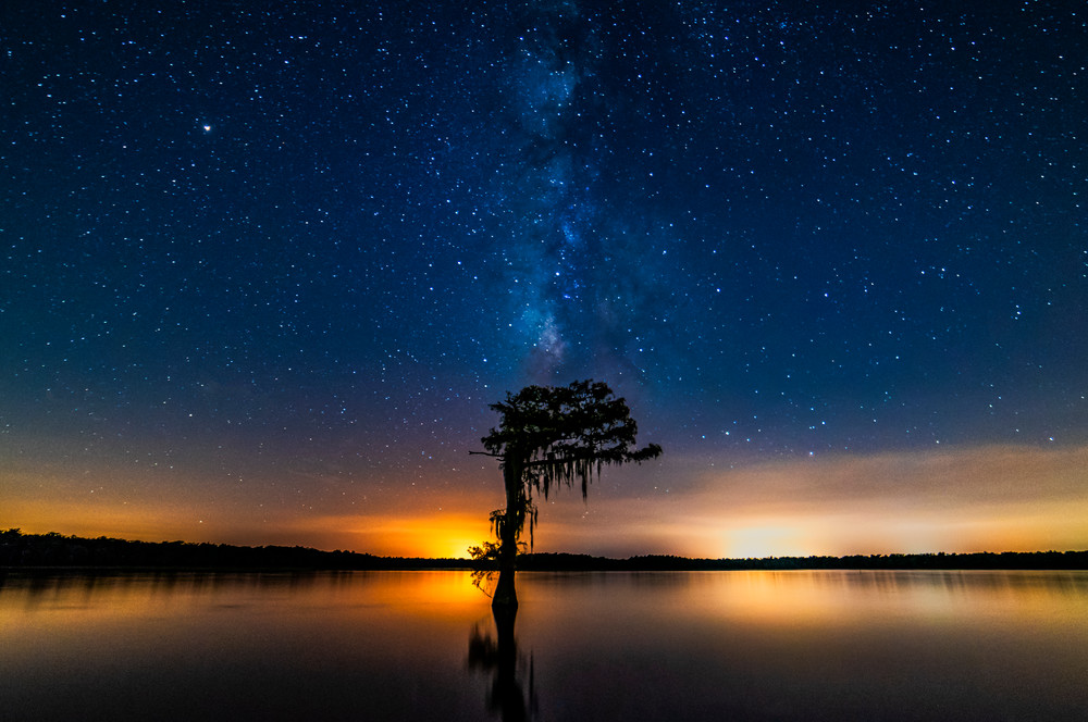 Milky Way Louisiana swamp photography