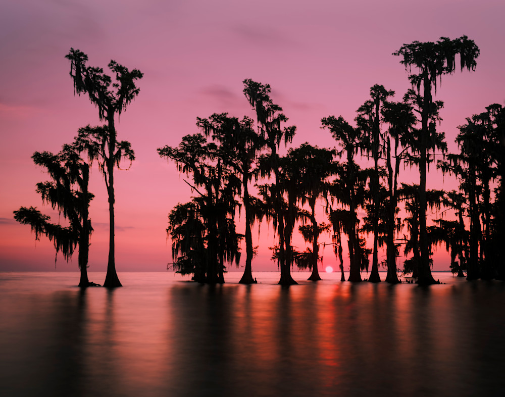 Morning in the Swamp - Louisiana sunrise photography prints