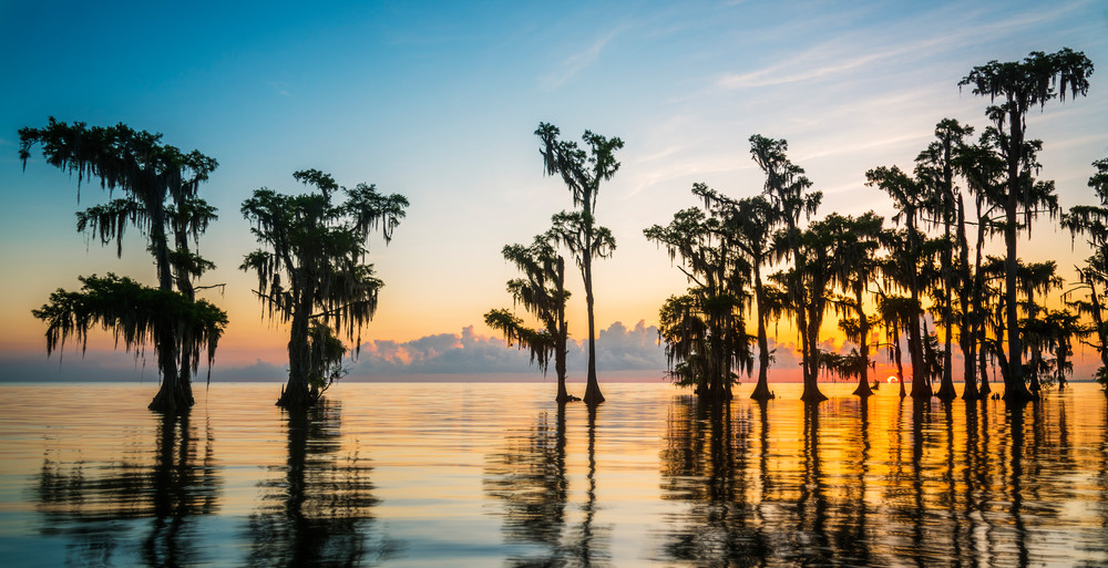 Lake Maurepas sunrise pano - Louisiana swamp photography prints