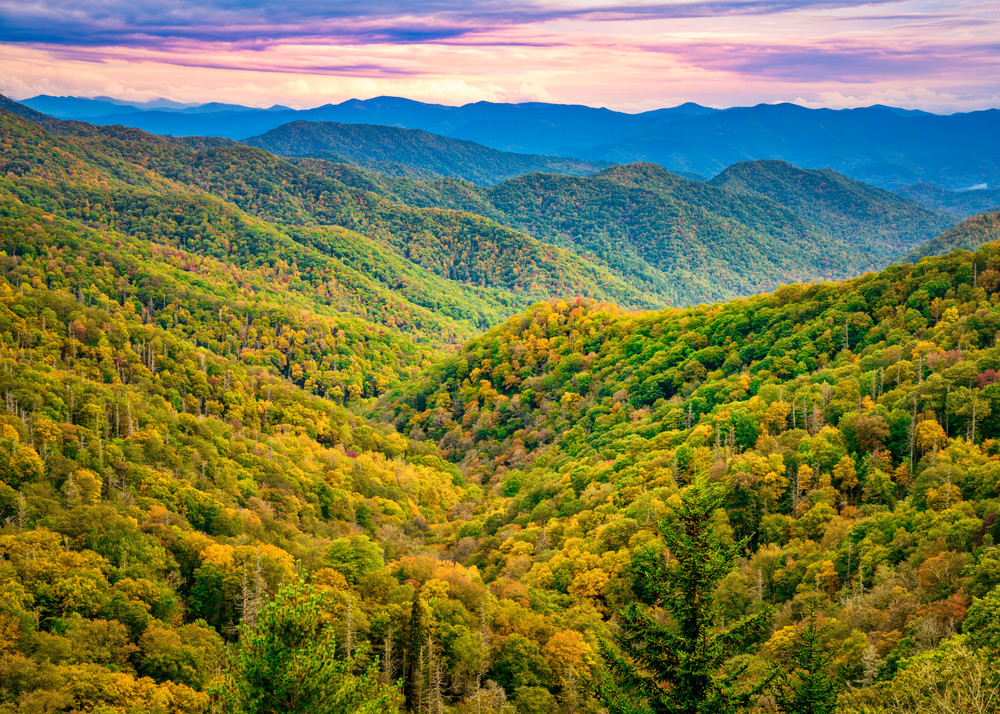 Smoky Mountain sunrise overlook photography