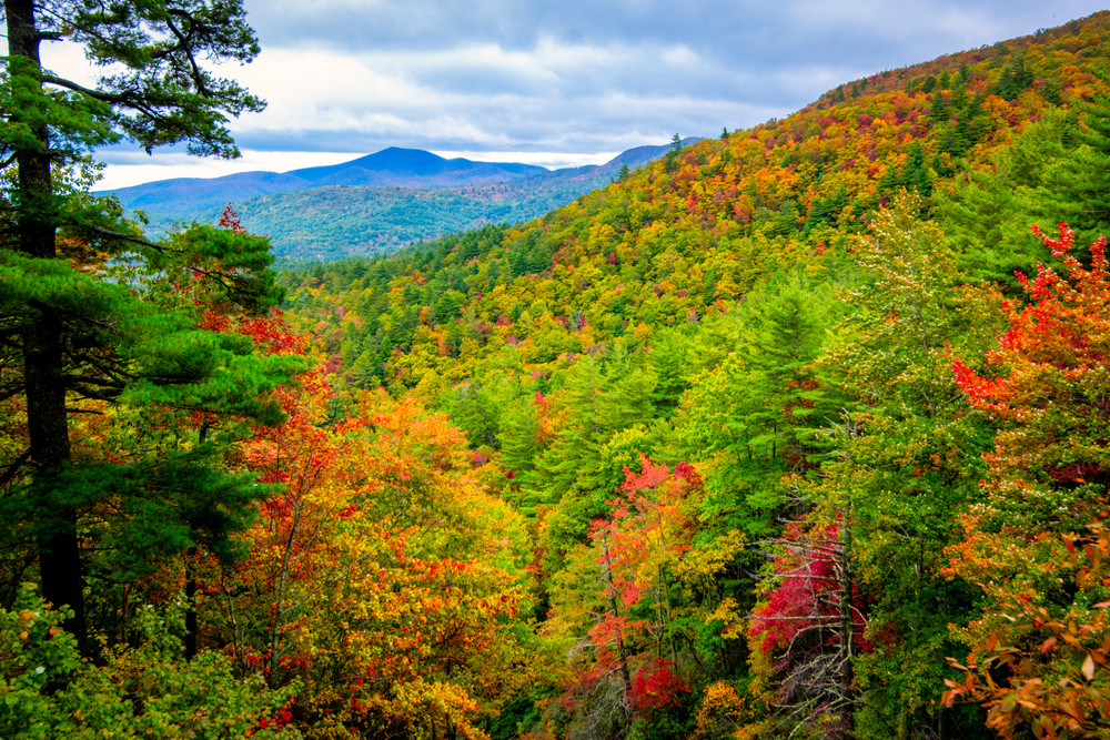 Fall in the Smokies photography