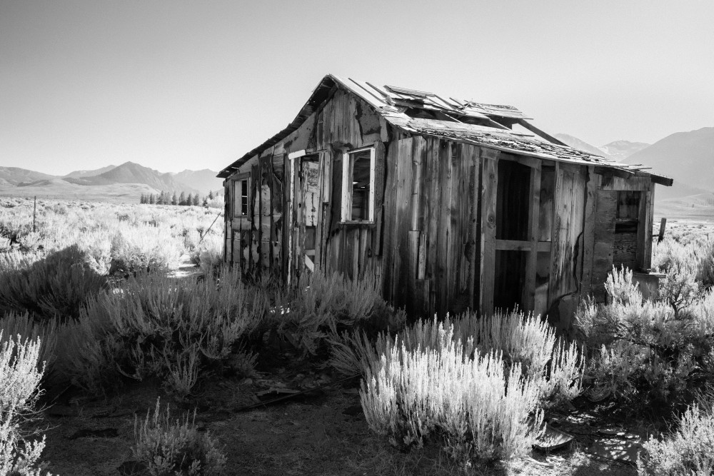 Desolation Art | Leiken Photography