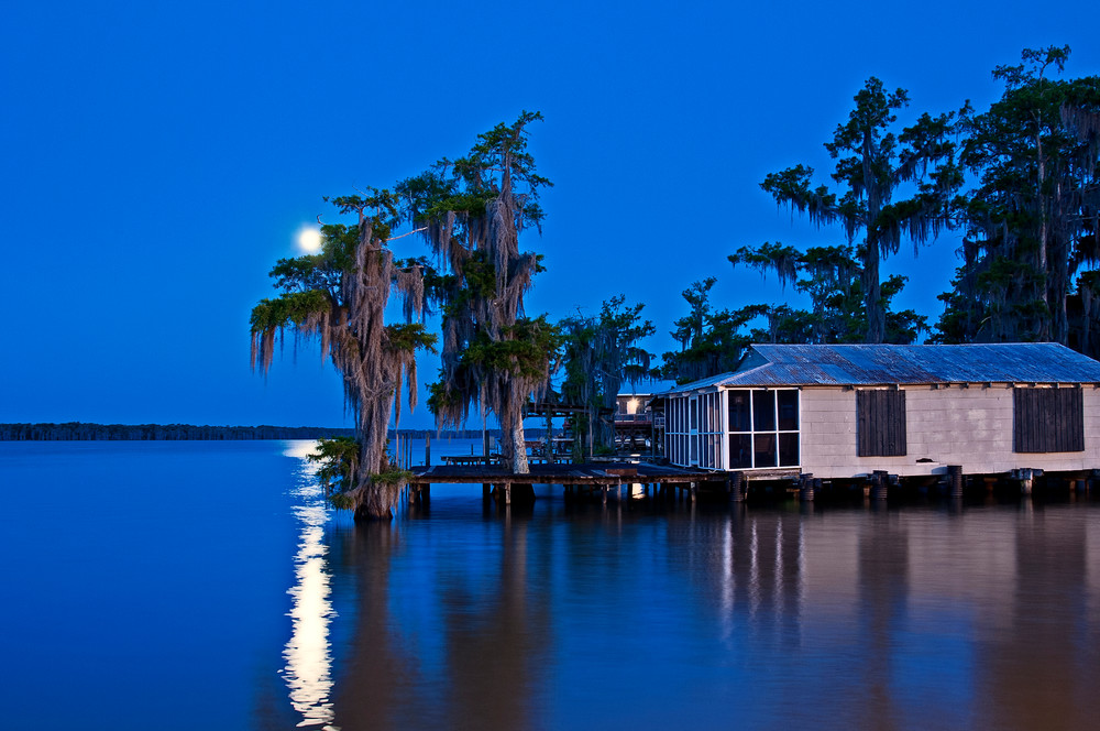 Louisiana swamp moonrise photography