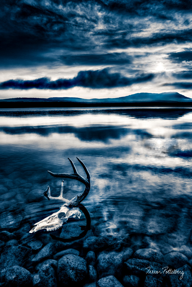 Land Of The Midnight Sun Photography Art | Trevor Pottelberg Photography