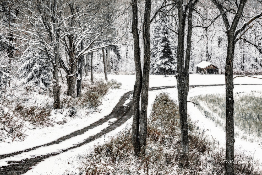 Winter Lane Art | Trevor Pottelberg Photography
