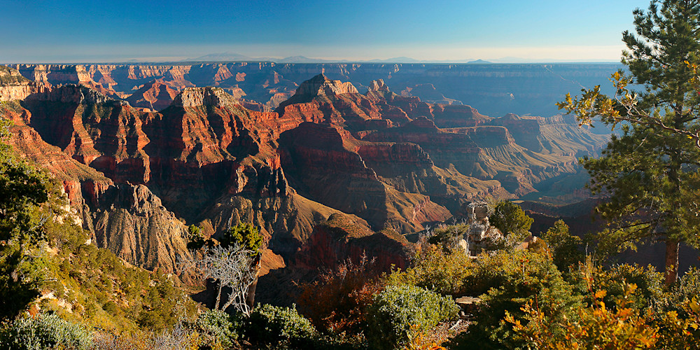 Grand Canyon North Rim Photo Print