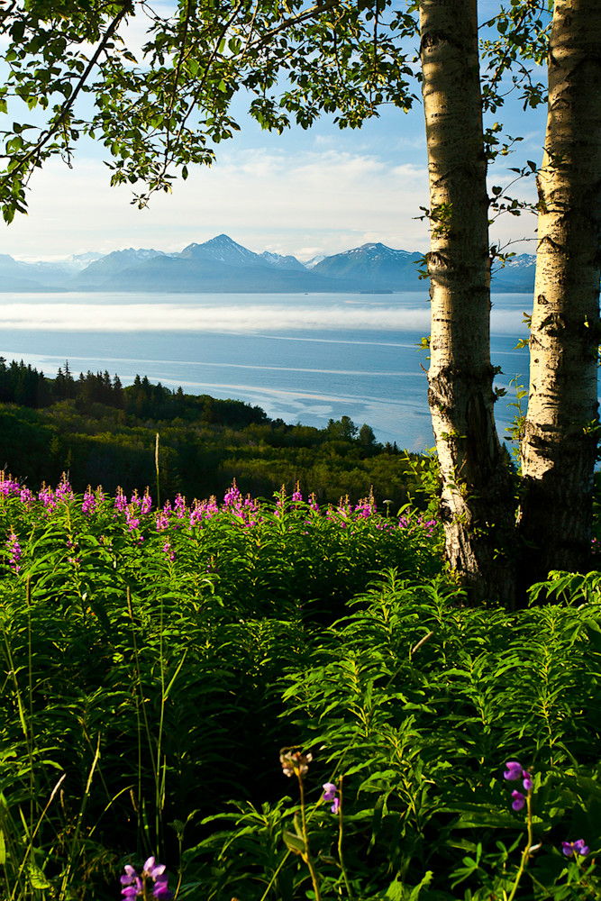 Alaska - Homer  Photo Print
