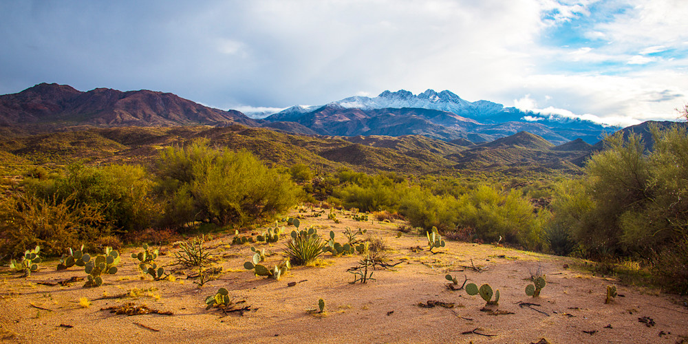 Four Peaks Pear Pano Photo Print