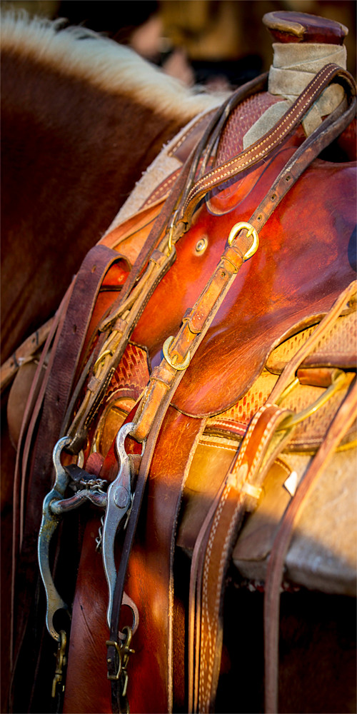Horse Saddle Pano Photo Print
