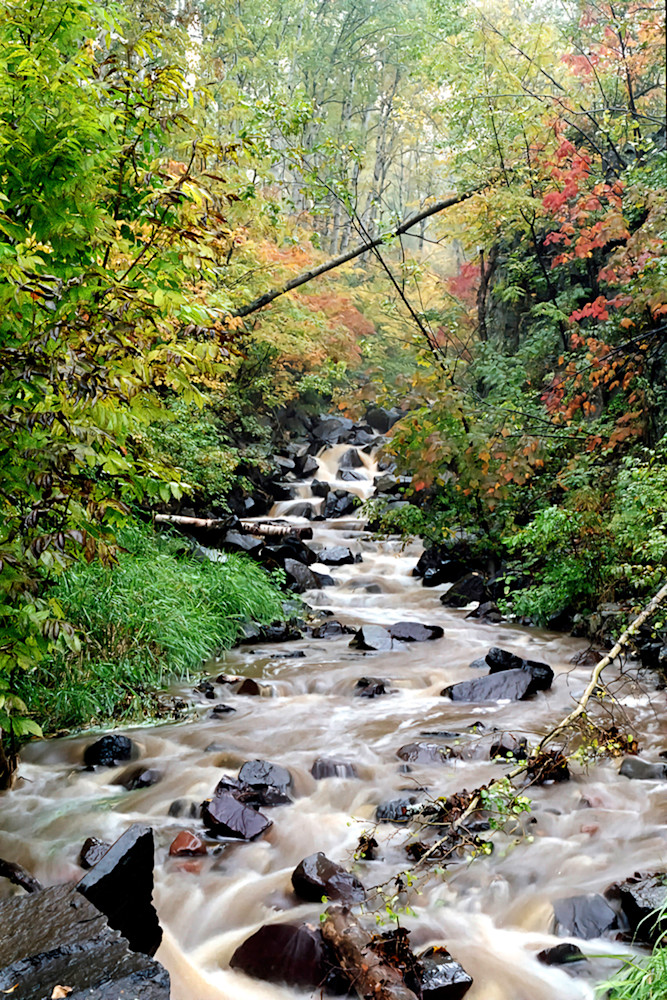 KennedyCreek  Photo Print