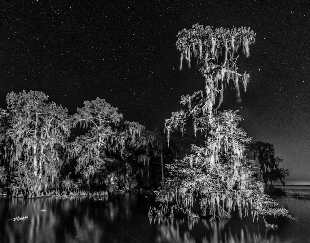Night Swamp in contrast photography print