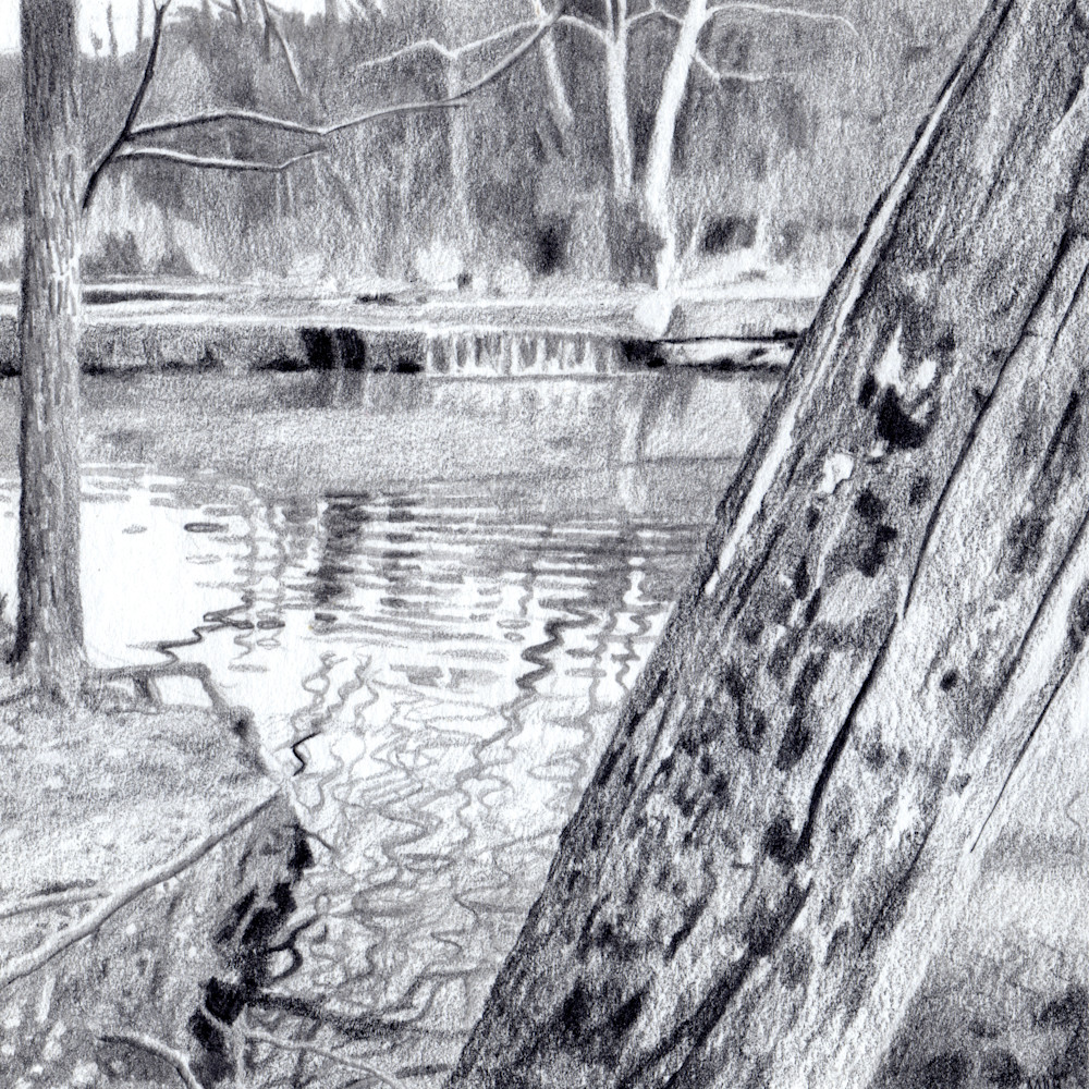 Falling Water, Drawings, The Art of Max Voss-Nester