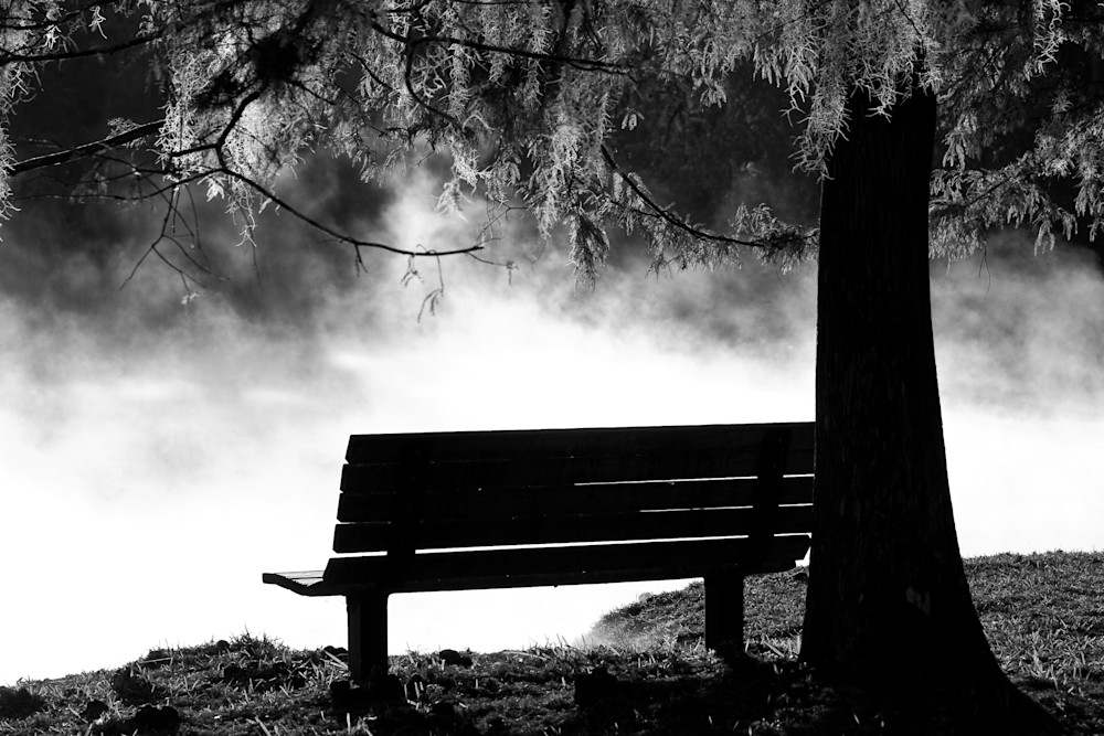 Morning Mist at the Spring